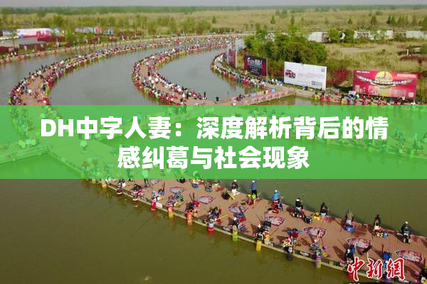 DH中字人妻：深度解析背后的情感纠葛与社会现象