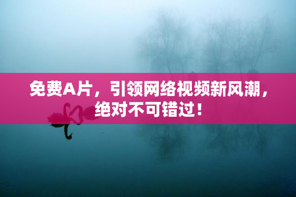 免费A片，引领网络视频新风潮，绝对不可错过！