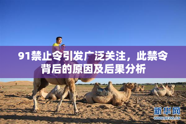 91禁止令引发广泛关注，此禁令背后的原因及后果分析