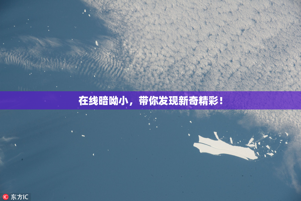 在线暗呦小，带你发现新奇精彩！