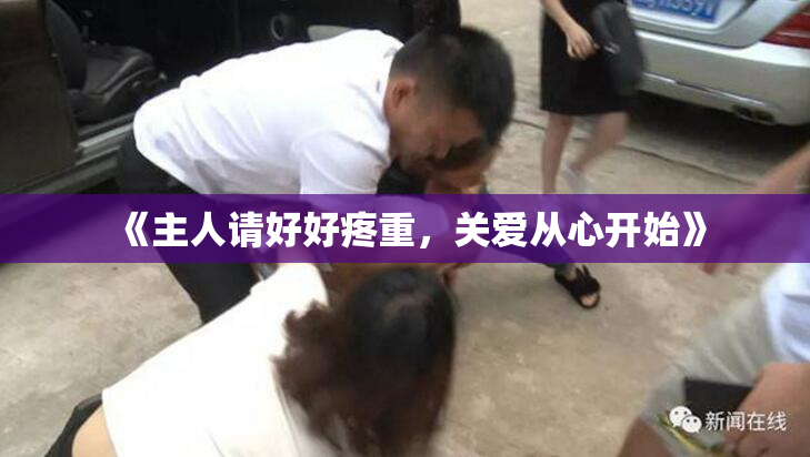 《主人请好好疼重，关爱从心开始》
