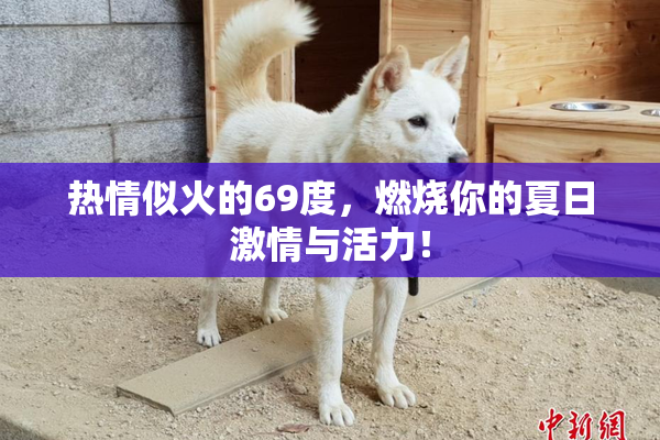 热情似火的69度，燃烧你的夏日激情与活力！