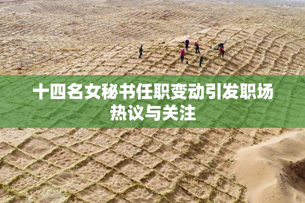 十四名女秘书任职变动引发职场热议与关注