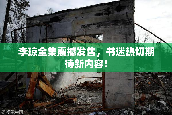 李琼全集震撼发售，书迷热切期待新内容！
