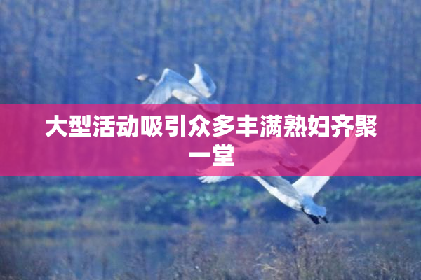 大型活动吸引众多丰满熟妇齐聚一堂
