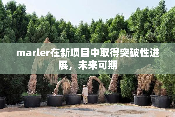 marler在新项目中取得突破性进展，未来可期