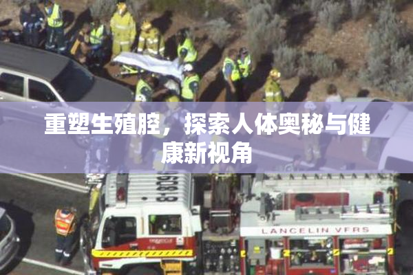 重塑生殖腔，探索人体奥秘与健康新视角