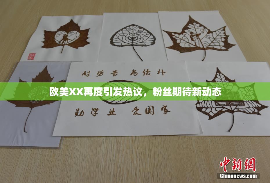 欧美XX再度引发热议，粉丝期待新动态