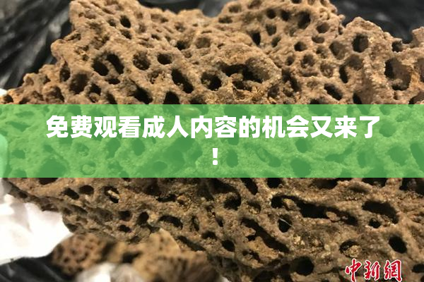 免费观看成人内容的机会又来了！