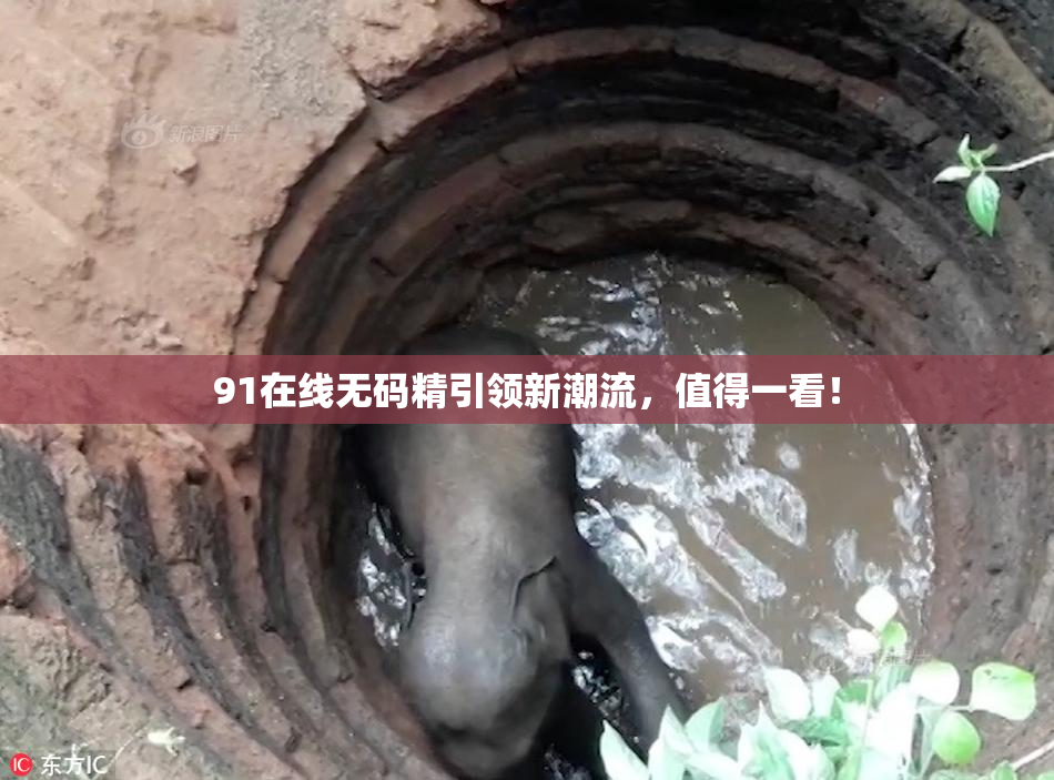 91在线无码精引领新潮流，值得一看！