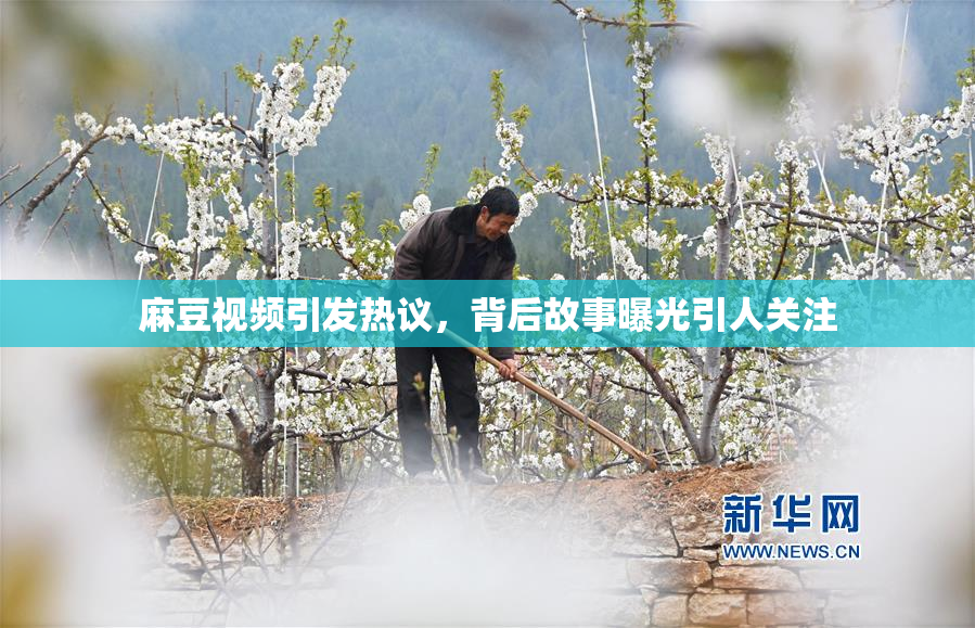麻豆视频引发热议，背后故事曝光引人关注