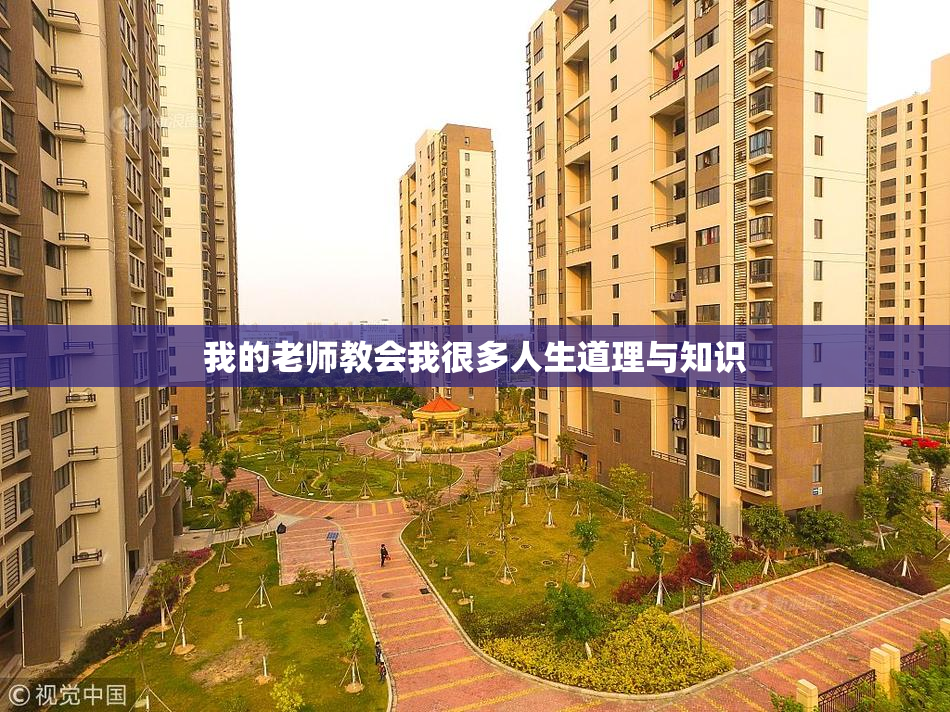 我的老师教会我很多人生道理与知识