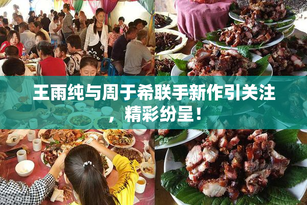 王雨纯与周于希联手新作引关注，精彩纷呈！