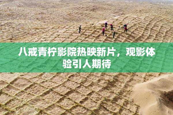 八戒青柠影院热映新片，观影体验引人期待