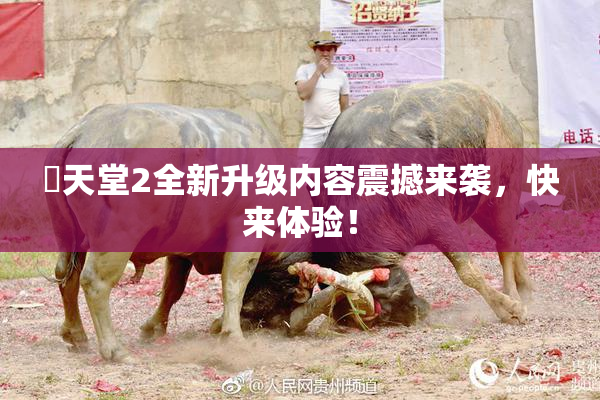 妺天堂2全新升级内容震撼来袭，快来体验！