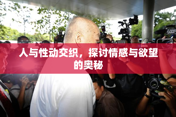 人与性动交织，探讨情感与欲望的奥秘