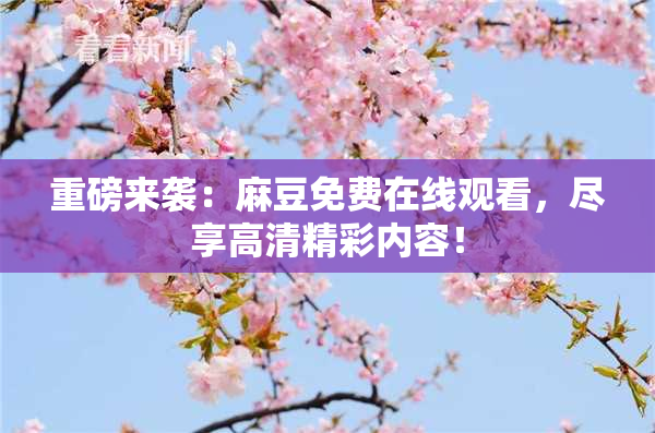 重磅来袭：麻豆免费在线观看，尽享高清精彩内容！