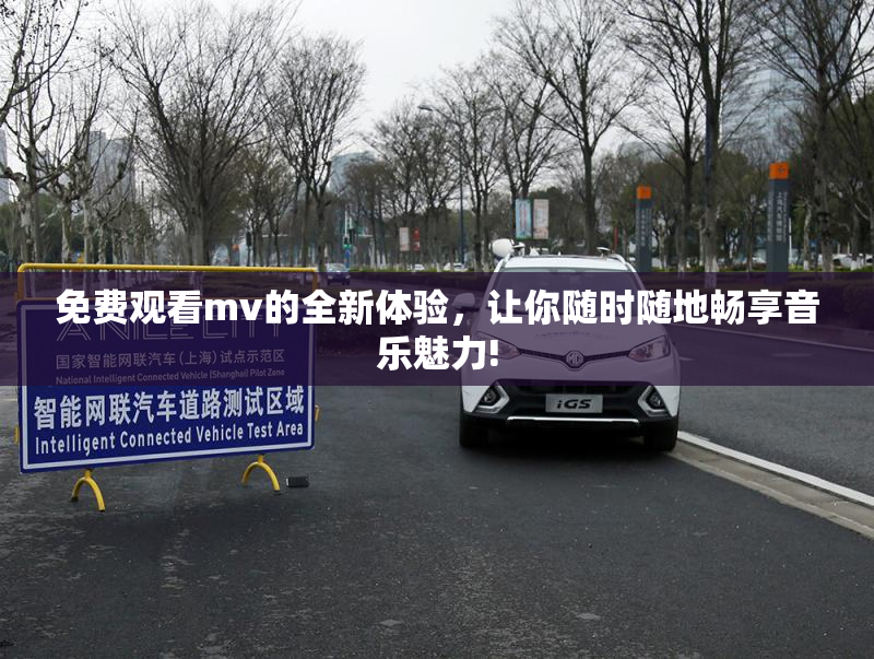 免费观看mv的全新体验，让你随时随地畅享音乐魅力!