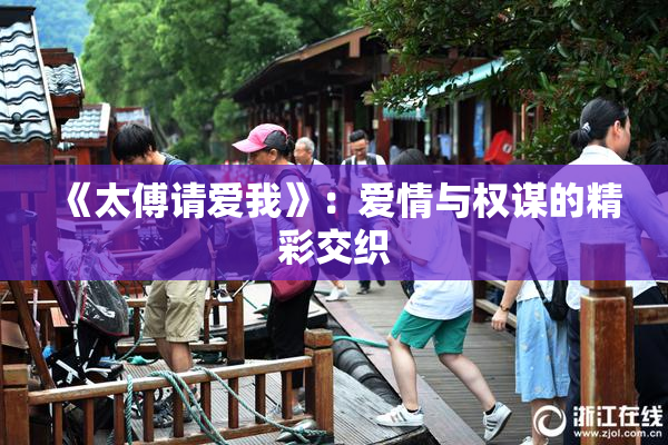 《太傅请爱我》：爱情与权谋的精彩交织