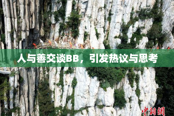 人与善交谈BB，引发热议与思考