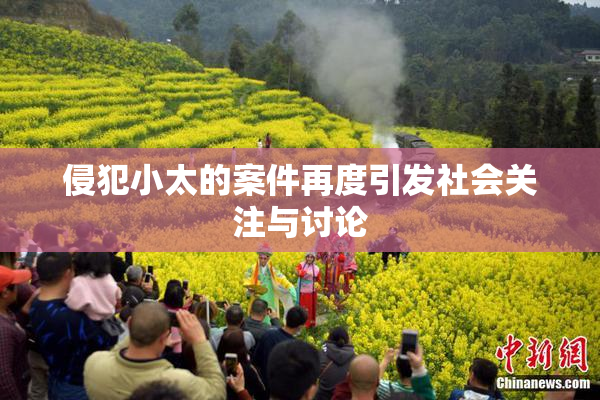 侵犯小太的案件再度引发社会关注与讨论