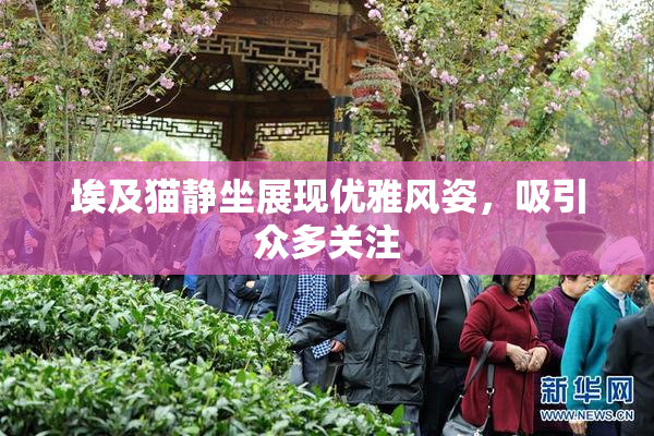 埃及猫静坐展现优雅风姿，吸引众多关注