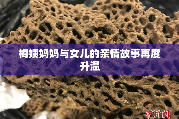 梅姨妈妈与女儿的亲情故事再度升温
