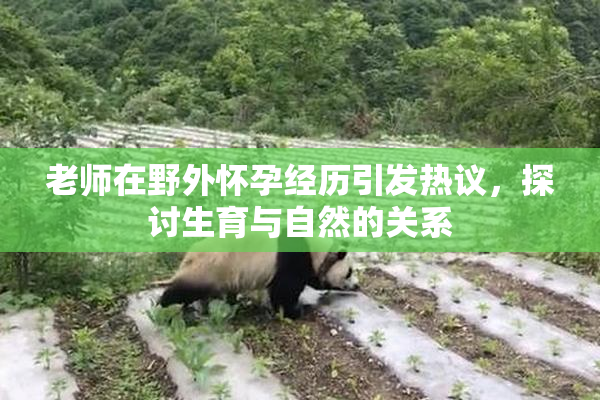 老师在野外怀孕经历引发热议，探讨生育与自然的关系