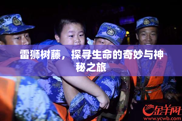 雷狮树藤，探寻生命的奇妙与神秘之旅