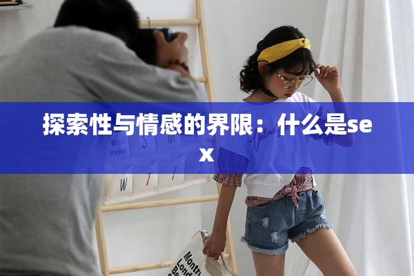 探索性与情感的界限：什么是sex