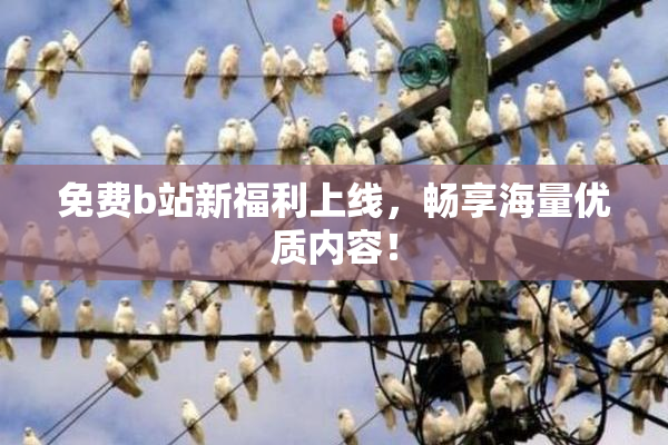 免费b站新福利上线，畅享海量优质内容！