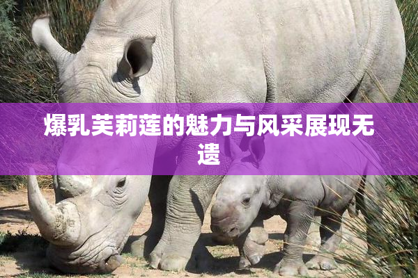爆乳芙莉莲的魅力与风采展现无遗