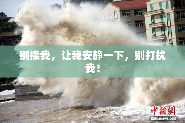 别揉我，让我安静一下，别打扰我！