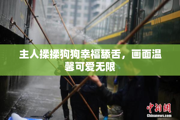 主人揉揉狗狗幸福舔舌，画面温馨可爱无限