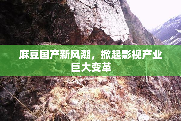 麻豆国产新风潮，掀起影视产业巨大变革