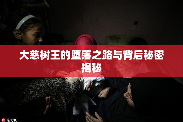 大慈树王的堕落之路与背后秘密揭秘