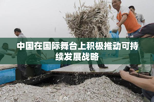 中国在国际舞台上积极推动可持续发展战略