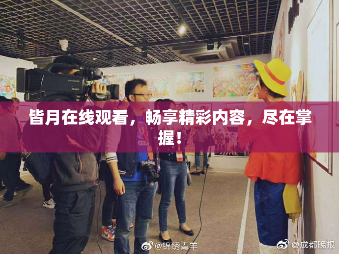 皆月在线观看，畅享精彩内容，尽在掌握！