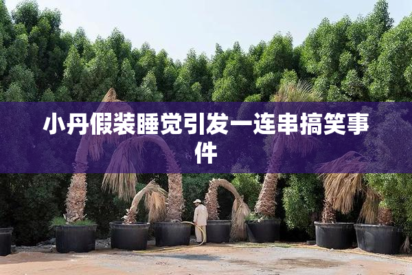 小丹假装睡觉引发一连串搞笑事件