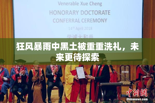 狂风暴雨中黑土被重重洗礼，未来更待探索
