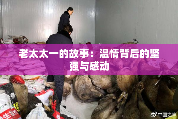 老太太一的故事：温情背后的坚强与感动