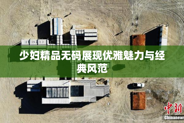 少妇精品无码展现优雅魅力与经典风范