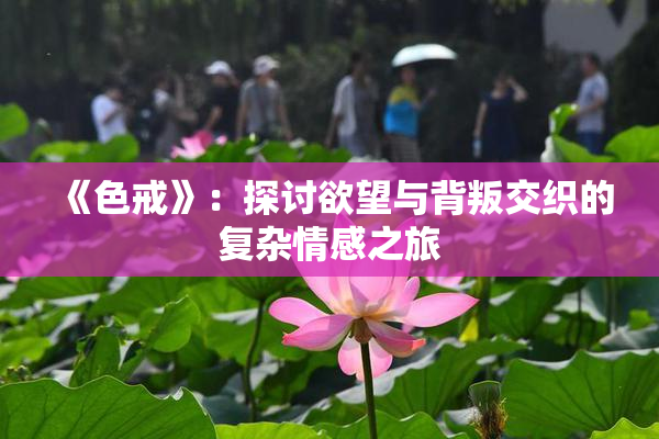 《色戒》：探讨欲望与背叛交织的复杂情感之旅