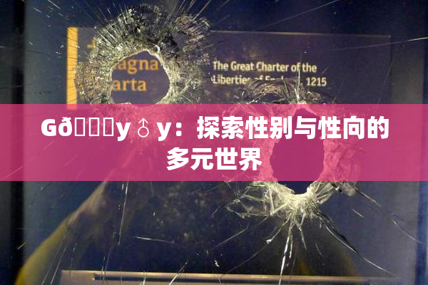 G🈚y♂y：探索性别与性向的多元世界