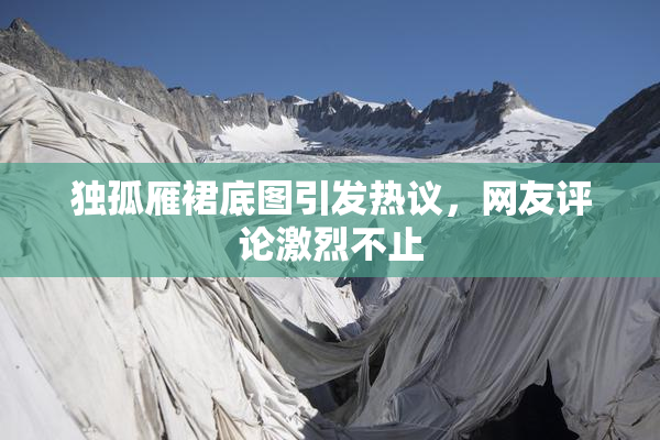 独孤雁裙底图引发热议，网友评论激烈不止