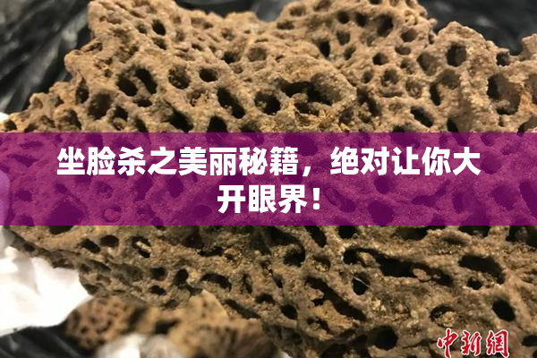坐脸杀之美丽秘籍，绝对让你大开眼界！