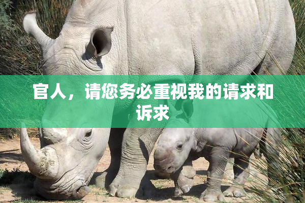 官人，请您务必重视我的请求和诉求