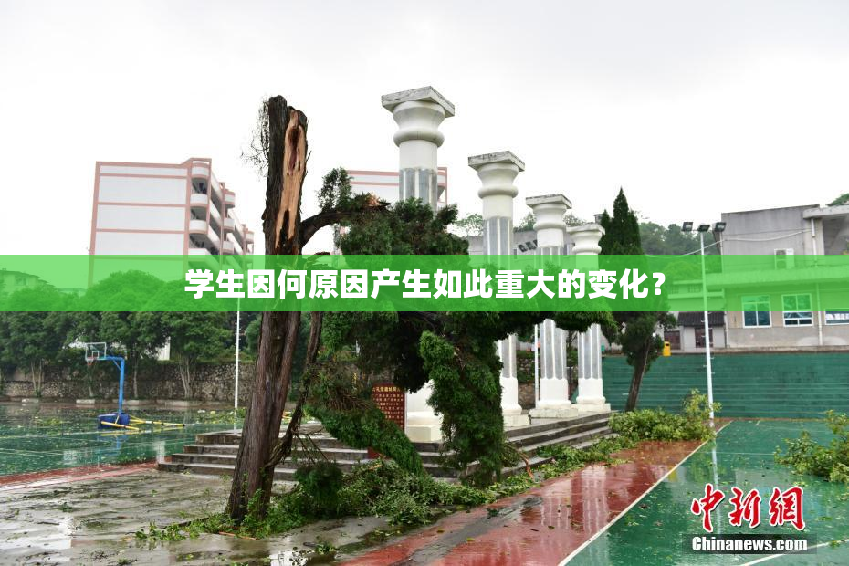 学生因何原因产生如此重大的变化？