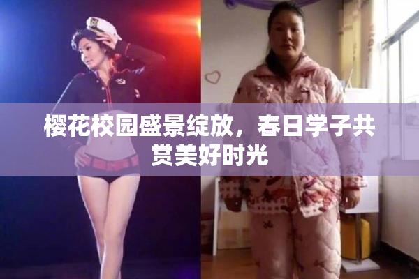 樱花校园盛景绽放，春日学子共赏美好时光