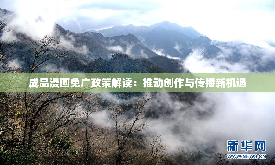 成品漫画免广政策解读：推动创作与传播新机遇
